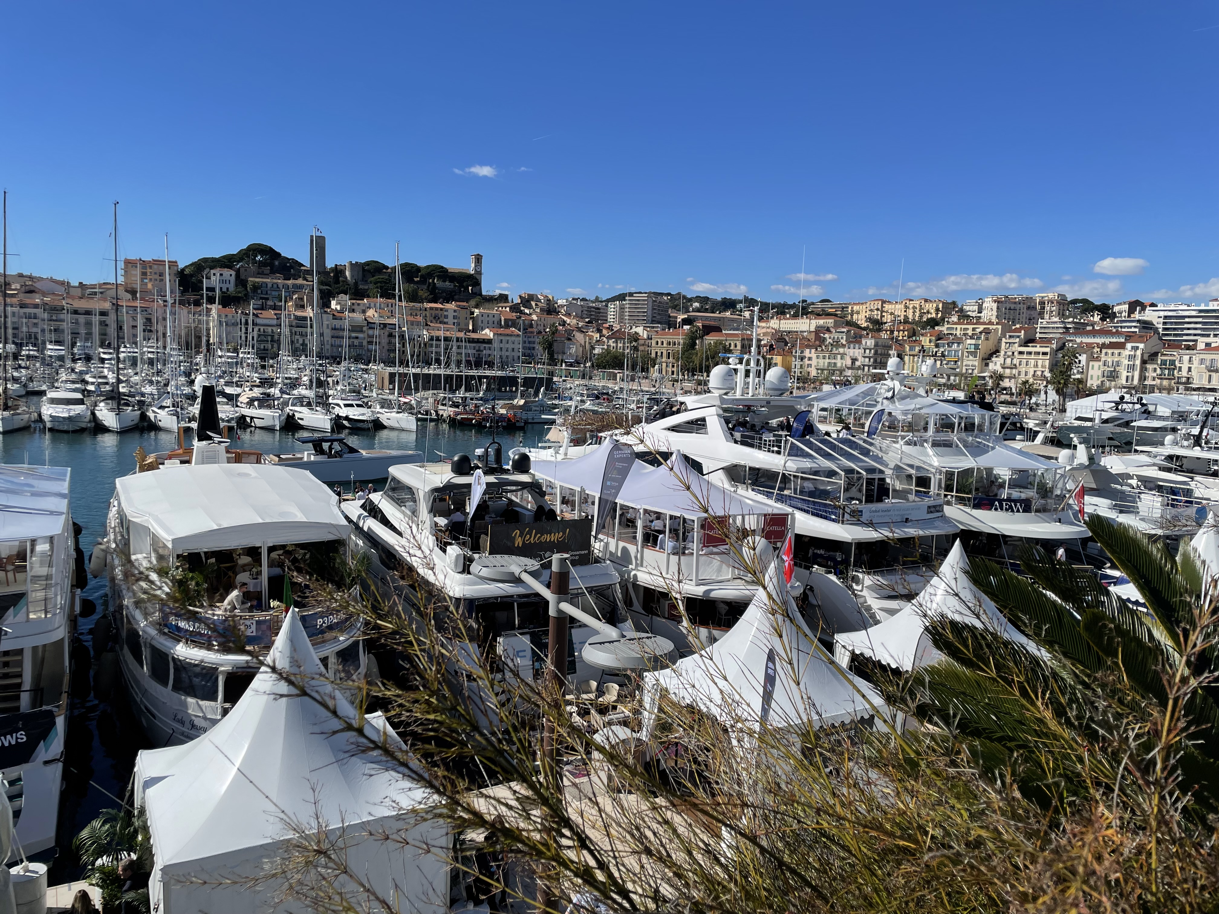 Cannes harbour during MIPIM
